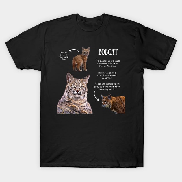 Animal Facts - Bobcat T-Shirt by Animal Facts and Trivias